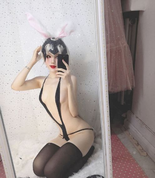 金燕子